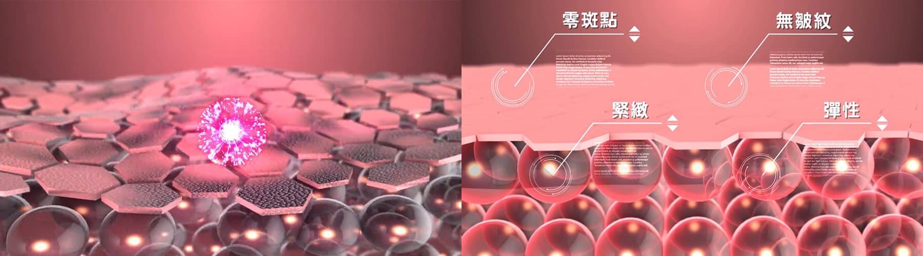 喜資XIZI幹細胞3D動畫影片-3